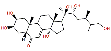 Makisterone B